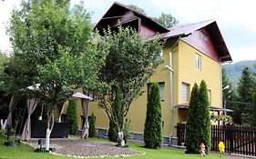 Vila Drumetului